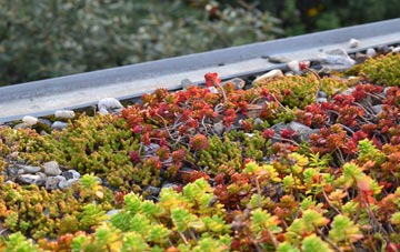 the cost of Peartree green roof installation