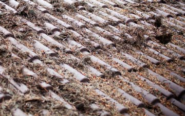 Peartree roof cleaning companies