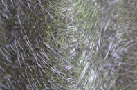 Peartree fibreglass roof work